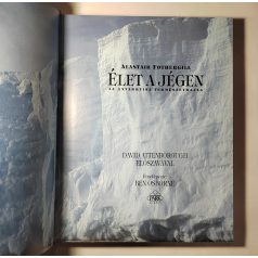 Alastair Fothergill: Élet a jégen