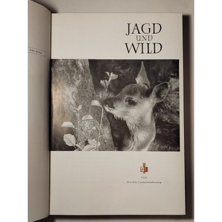Jagd und Wild