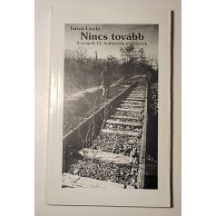   Tarnai László: Nincs tovább - A szegedi 13. hadosztály emlékének