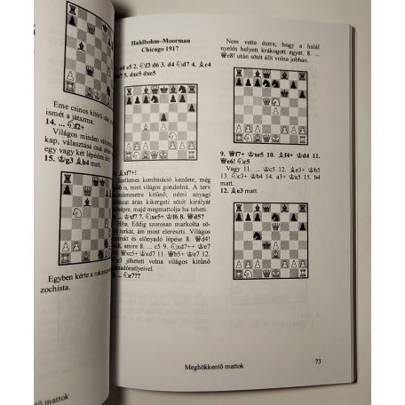 Schneider Attila: A mattadás művészete