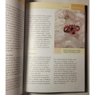 Bernhard Graf: Gyógyítás drágakövekkel