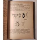 Molnár Margit, Dr.: Áruismeret szakácstanulóknak