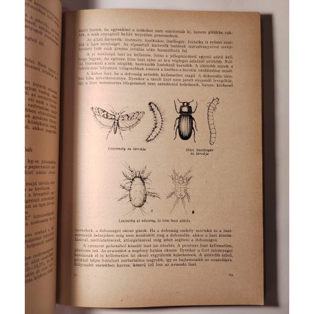 Molnár Margit, Dr.: Áruismeret szakácstanulóknak