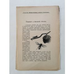 Utmutato a darazsak irtására