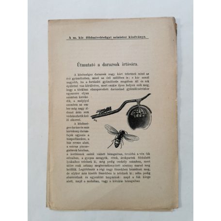 Utmutato a darazsak irtására