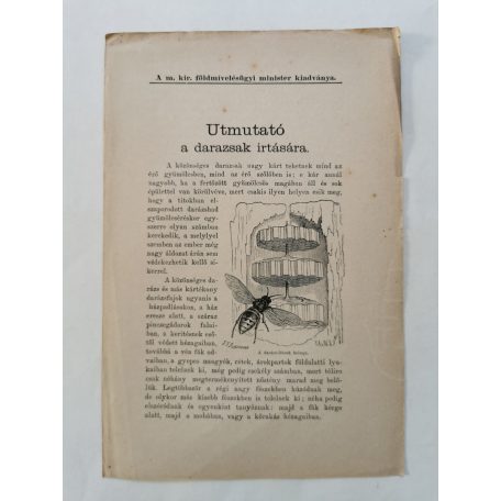 Utmutato a darazsak irtására
