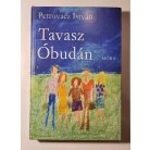 Petrovácz István: Tavasz Óbudán 