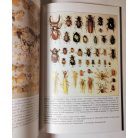 Stirbiczné Dankó Katalin (szerk.): Barangolások a Száraz-ér mentén