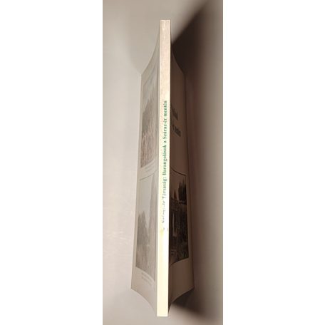 Stirbiczné Dankó Katalin (szerk.): Barangolások a Száraz-ér mentén