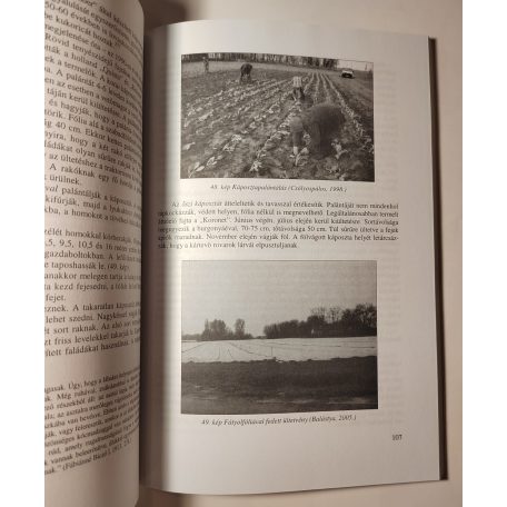 Fodor Ferenc: A Duna-Tisza közi homokhátság délkeleti részének paraszti gazdálkodása a 20. században (Dedikált)