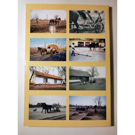 Fodor Ferenc: A Duna-Tisza közi homokhátság délkeleti részének paraszti gazdálkodása a 20. században (Dedikált)