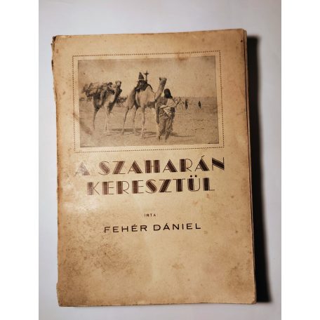Fehér Dániel: A Szaharán keresztül 