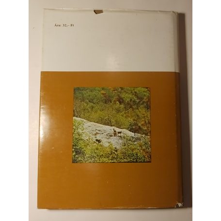 Mátrai Gábor, Dr.: A muflon és vadászata