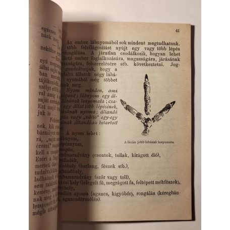 A Nagy Főnök Levelei III. - Vadászösvényen