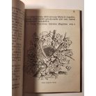 A Nagy Főnök Levelei III. - Vadászösvényen