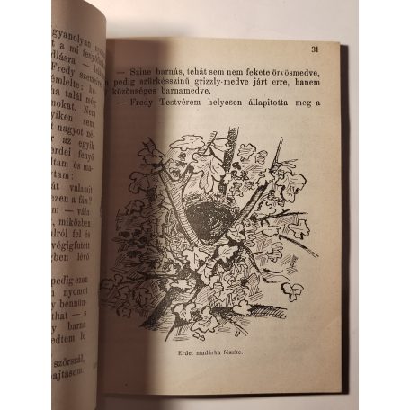 A Nagy Főnök Levelei III. - Vadászösvényen