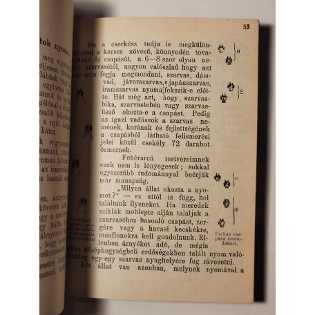 A Nagy Főnök Levelei III. - Vadászösvényen