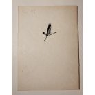 Sterbetz István: A daru Magyarországon / The crane in Hungary