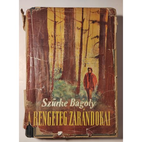 Szürke Bagoly: A rengeteg zarándokai