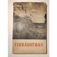 Illés Sándor: Virradatban (Dedikált)