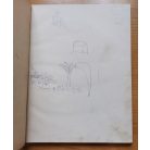 Arany János: Arany-Zichy album