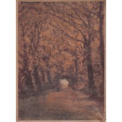   Kiss József: Levelek hullása. [Újabb költemények] Falus Elek rajzaival. 