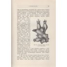 Richard, J[ules], dr.: Oczeánográfia. Fordította dr. Pécsi Albert. 1 arczképpel és 344 rajzzal