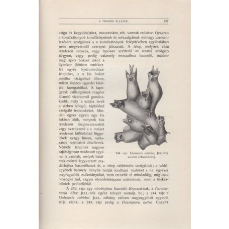 Richard, J[ules], dr.: Oczeánográfia. Fordította dr. Pécsi Albert. 1 arczképpel és 344 rajzzal