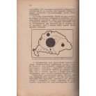 Buday László: Magyarország küzdelmes évei. A megcsonkított Magyarország ujradolgozott második kiadása