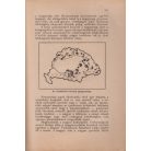 Buday László: Magyarország küzdelmes évei. A megcsonkított Magyarország ujradolgozott második kiadása