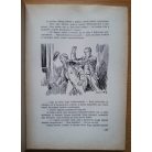 P. Tomka S. J.: A világdinamó