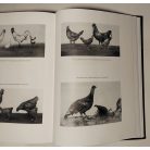 Éber Ernő, Dr.: A magyar állattenyésztés fejlődése (reprint kiadás, névre szóló, számozott)