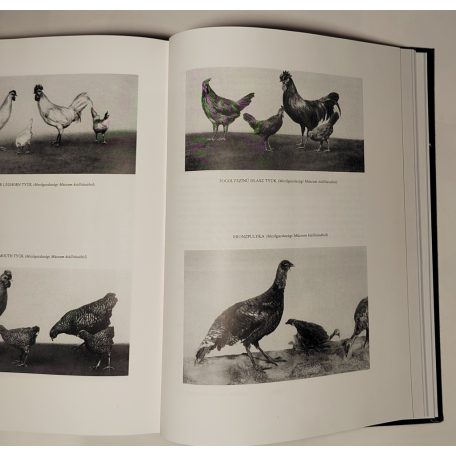 Éber Ernő, Dr.: A magyar állattenyésztés fejlődése (reprint kiadás, névre szóló, számozott)