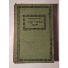 Bársony István: Egy darab élet