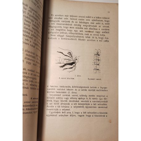 Lukács Aladár: Első segélynyujtás az állatok megbetegedéseinél