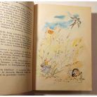 Hans Christian Andersen: Andersen legszebb meséi 