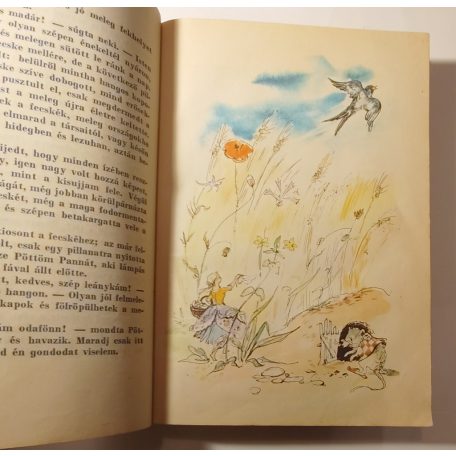 Hans Christian Andersen: Andersen legszebb meséi 