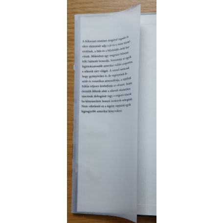 Rachel Urquhart: A látnok