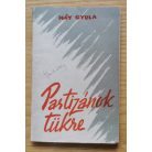 Háy Gyula: Partizánok tükre