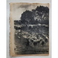   Magyar Futár Rajniss Ferenc lapja ( politikai hetilap ) I. évfolyam 16.szám