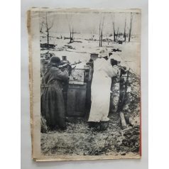   Magyar Futár Rajniss Ferenc lapja ( politikai hetilap ) II. évfolyam 12.szám