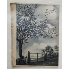   Magyar Futár Rajniss Ferenc lapja ( politikai hetilap ) II. évfolyam 17.szám