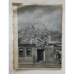   Magyar Futár Rajniss Ferenc lapja ( politikai hetilap ) II. évfolyam 20.szám