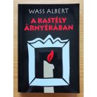 Wass Albert: A kastély árnyékában