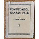 Sallay István: Egyiptomból Kanaán felé (Dedikált)