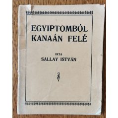 Sallay István: Egyiptomból Kanaán felé (Dedikált)