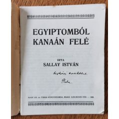 Sallay István: Egyiptomból Kanaán felé (Dedikált)