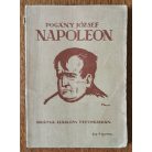 Pogány József: Napoleon