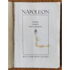 Pogány József: Napoleon