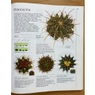 Illésfalvi Péter-Szabó Péter-Számvéber Norbert: Erdély a hadak útján 1940-1944